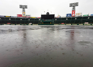 【阪神】今季１４度目の中止…甲子園は午前中から強い雨　２位・巨人とは３差　あす９日も雨予報で過密日程のおそれ