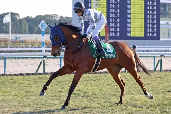 【シンザン記念】５番人気のディアダイヤモンドは９着　「まだ非力な感じ」武豊騎手は同一重賞最多勝利タイ記録ならず