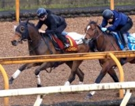 【桜花賞・１週前】アイニードユーは加速ラップでしっかり先着　吉村調教師「すごく成長しているのかな」