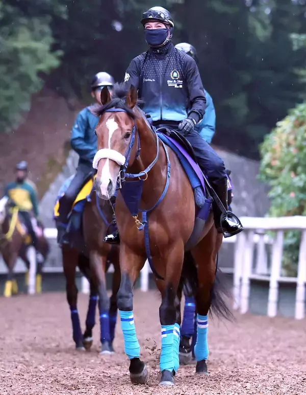 【皐月賞・１週前】朝日杯ＦＳ勝ち馬カヴァレリッツォは吉岡厩舎流で調整　坂路で柔軟性にあふれる脚運び
