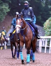 【皐月賞・１週前】朝日杯ＦＳ勝ち馬カヴァレリッツォは吉岡厩舎流で調整　坂路で柔軟性にあふれる脚運び