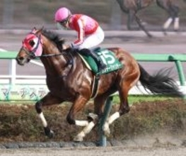 【アンタレスＳ・松ケ下の特注馬】マーチＳを大外から斤量５９キロで快勝したサンデーファンデー　充実ぶりから連勝もある