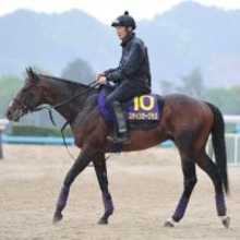 【天皇賞・春】転厩２戦目の慣れ大きいスティンガーグラスは落ち着き十分　陣営「うちの厩舎に順応してくれている感じ」