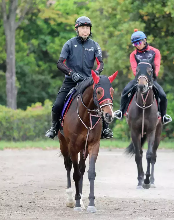 【天皇賞・春】平地最長距離重賞で適性示したマイネルカンパーナ　陣営「充実してきて体も毛づやもいい」