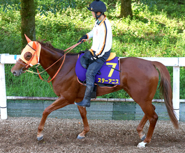 【スプリンターズＳ】前日最終オッズは４頭が１０倍以下の混戦模様　単勝１番人気は桜花賞馬のスターアニスで３・９倍　