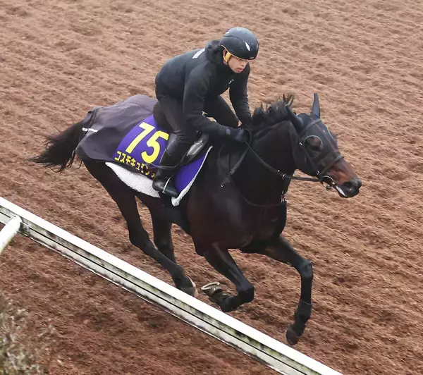 【有馬記念・浅子の特注馬】中山巧者のコスモキュランダは暮れの大舞台で一変ある　皐月賞２着馬に期待