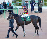 「【中山金杯】アンゴラブラックは惜しすぎる鼻差２着　戸崎圭太騎手「馬場が緩いぶん、ちょっともたつきました」」の画像1