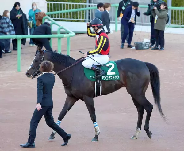 【中山金杯】アンゴラブラックは惜しすぎる鼻差２着　戸崎圭太騎手「馬場が緩いぶん、ちょっともたつきました」