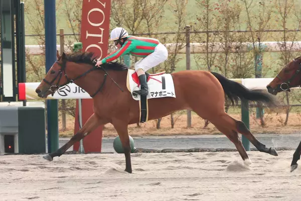 【京都３Ｒ・３歳新馬】マナボニートが鮮やかに逃げ切る　松若風馬騎手「力通り勝てて良かった」