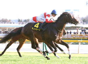 【白富士Ｓ】３・１億円のダノンシーマがオープン初出走Ｖ　川田将雅騎手「成長した内容」