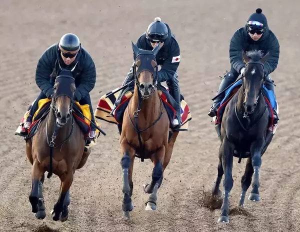 【フェブラリーＳ】連覇へ態勢は整ったコスタノヴァ　木村調教師「抜本的にやり方を変えてきた」