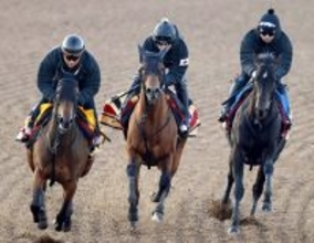 【フェブラリーＳ】連覇へ態勢は整ったコスタノヴァ　木村調教師「抜本的にやり方を変えてきた」