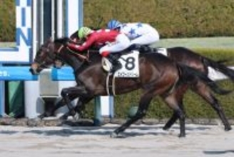 【阪神４Ｒ・３歳新馬】近親に重賞馬を持つエイコーンドリームが頭差制す　池添謙一騎手「もっと良くなっていく」