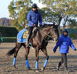 「【注目馬動向】昨年の日本ダービー馬クロワデュノールの全弟チャリングクロスは山吹賞へ」の画像1