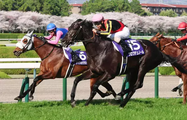 【小島太元調教師の競馬ジャーナル】イメージの数段上だった大阪杯でのクロワデュノールの走り　古馬路線の中心となるだろう