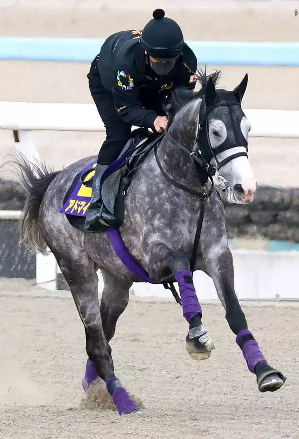 【天皇賞・春・土曜気配】武豊騎手とＶ狙うアドマイヤテラはＣＷコースをキャンター　陣営「全く疲労感もなくフレッシュ」