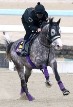 【天皇賞・春・土曜気配】武豊騎手とＶ狙うアドマイヤテラはＣＷコースをキャンター　陣営「全く疲労感もなくフレッシュ」