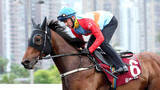 「カーインライジング２１連勝！他馬より９キロ重い６１キロも関係なし　単勝１・０倍の断トツ１番人気に応える　２番人気は１０７倍」の画像1