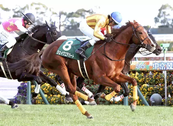 【中日新聞杯・レースメモ】ハーツクライ産駒が延べ１３頭の出走で初勝利！３番人気シェイクユアハート直線抜け出した