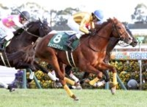 【中日新聞杯・レースメモ】ハーツクライ産駒が延べ１３頭の出走で初勝利！３番人気シェイクユアハート直線抜け出した