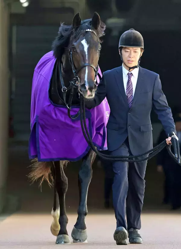【注目馬動向】５・９億円馬エムズビギンはきさらぎ賞で重賞初挑戦へ　新馬ＶのアドマイヤシュラはエルフィンＳ