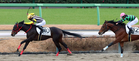 【中山４Ｒ・２歳新馬】ゴールドブレイズが危なげなく快勝　荻野極騎手「これからもっと良くなる」