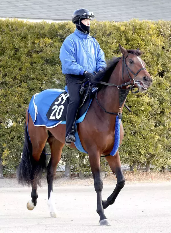 【若駒Ｓ】日英Ｇ１・２勝ディアドラ全弟イベントホライゾンが出世レースＶへ　池江調教師「素質は高いものを…」