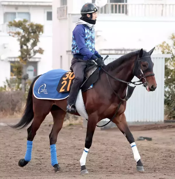 すみれＳ５着のアッカンはダービートライアルの青葉賞へ　クイーンＣ３着のヒズマスターピースはニュージーランドＴを予定