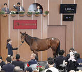 「【ブリーズアップセール】インターネットオークション方式によるファイナルステージで５頭が売却」の画像1