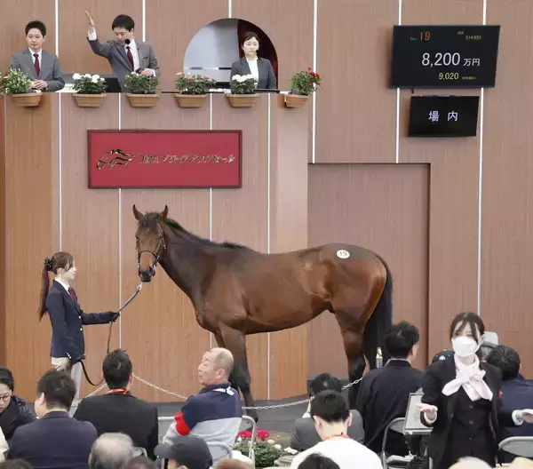【ブリーズアップセール】インターネットオークション方式によるファイナルステージで５頭が売却