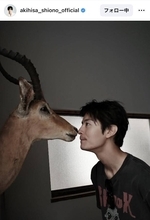 塩野瑛久、鹿と「鼻キス」ショットで「お茶目でキュン」「横顔たまらん…」「最高に癒されました」