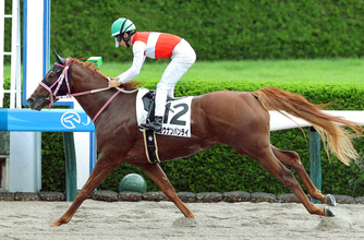 【注目馬動向】砂上で圧勝続きの新星　２億円のショウナンバンライがレパードＳ参戦！　鞍上は引き続き田山旺佑騎手