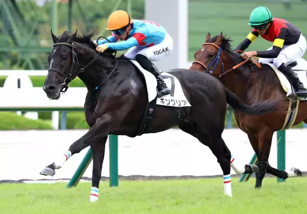 「返し馬あぶねえ」→２歳最速タイムマーク　良血馬の圧巻パフォにネット歓喜「東京で観たい」「ダービーまで楽しみ」　阪神５Ｒキングリア