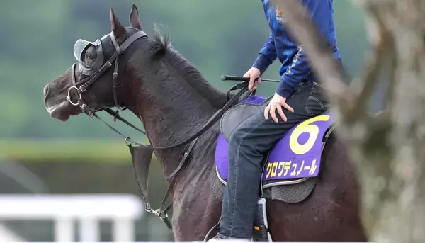 【天皇賞・秋】クロワデュノールVSマスカレードボール　史上６頭目か、史上４頭目か　最強４歳世代の柱２頭が快挙を懸けて激突