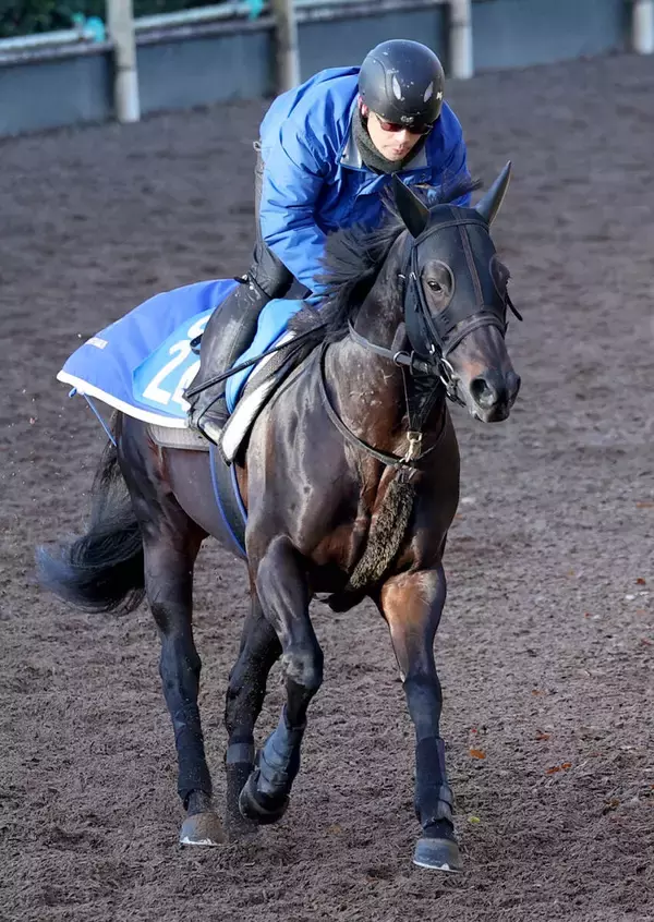 【阪神Ｃ】「何とか」９度目の重賞挑戦ヨシノイースター初制覇へ　中尾調教師「しっかり動けていた」と手応え