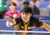 「【卓球全日本】張本智和が５回戦進出「全日本の初戦はいつも緊張する」直前までドーハ遠征にも言い訳なし」の画像1