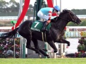ヤマニンサルバムの競走馬登録を抹消　２４年新潟大賞典など重賞２勝　地方競馬に移籍予定