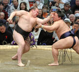 「綱取りに挑む大関・安青錦が２勝目　前日の負けを引きずらず若隆景に白星　序盤戦の連敗なら昇進確率０％の危機脱する」の画像1