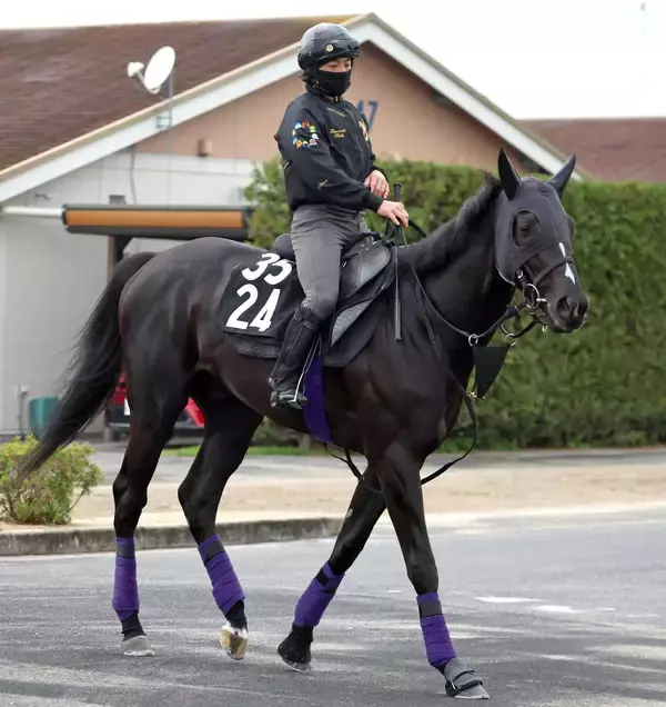 【青葉賞】ダービーへ負けられない一戦「自分の力で切符をつかんでほしいですね」　陣営も成長感じるブラックオリンピア