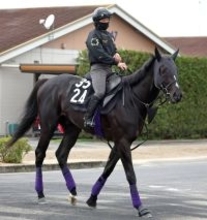 【青葉賞】ダービーへ負けられない一戦「自分の力で切符をつかんでほしいですね」　陣営も成長感じるブラックオリンピア