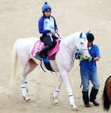 「白毛の３歳牝馬ジャジャミンが５月９日に初陣へ　鞍上は今村聖奈騎手」の画像1