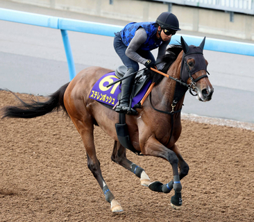 【安田記念】復活目指す桜花賞馬ステレンボッシュは１週前に好調教　宮田調教師「本当に素晴らしい動き」