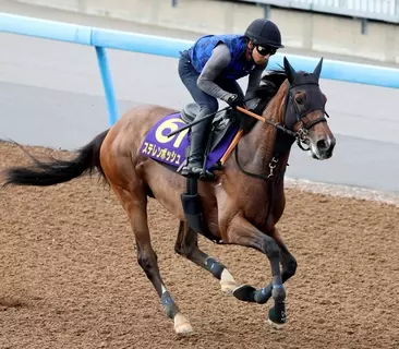 【安田記念】復活目指す桜花賞馬ステレンボッシュは１週前に好調教　宮田調教師「本当に素晴らしい動き」