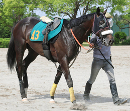 【今週デビュー予定・トク注新馬】「この馬でダービーに行きたいです」武井調教師が早くもホレ込むエフフォーリア産駒