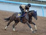 「日曜東京競馬場の注目激走馬…東京１１Ｒ安田記念・Ｇ１」の画像1