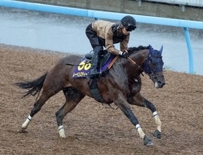 日曜東京競馬場の注目激走馬…東京１１Ｒ安田記念・Ｇ１