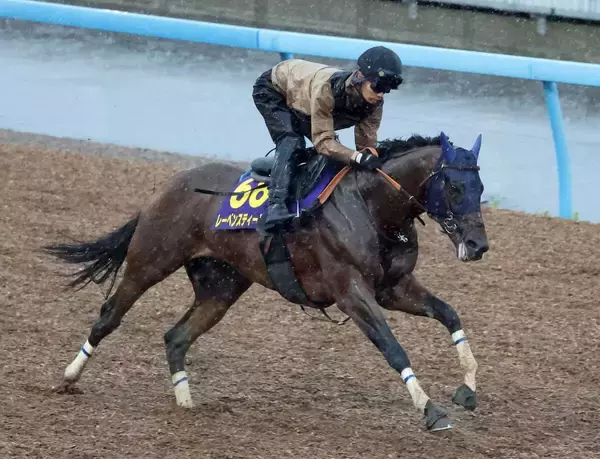 日曜東京競馬場の注目激走馬…東京１１Ｒ安田記念・Ｇ１