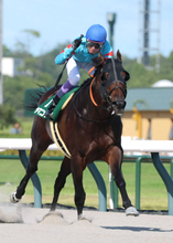 ヤマニンウルスが引退　デビュー戦で後続に４秒３差をつけた「未完の大器」が種牡馬入り