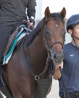 【中京２Ｒ・２歳新馬】ダノンデサイルの弟ダノンチャンピオンは４着　横山武史騎手「背中のよさはありますが...」