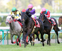 今は亡きリーチザクラウンにネットしみじみ「最後に大物」「渋すぎる」　伝説の新馬戦２着馬の最終世代産駒が圧勝デビュー　　